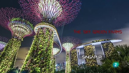 Ingeniero genético de bebés, agricultor urbano