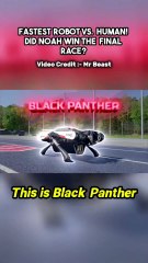 Running With Robert Phase 3 | Epic Robot Chase Adventure ft. Mr Beast