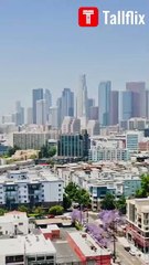 The Undercover Ladyboss - Full Movie HD - Best Drama ShortFilms Romance Hot