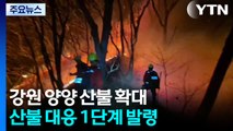 양양 산불 확대...헬기 25 대 투입 총력 진화 / YTN