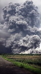 Mount Semeru Erupts: Massive Pyroclastic Cloud Towers Into the Sky