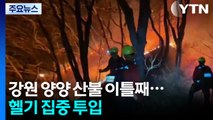 강원 양양 산불 이틀째...헬기 집중 투입 / YTN