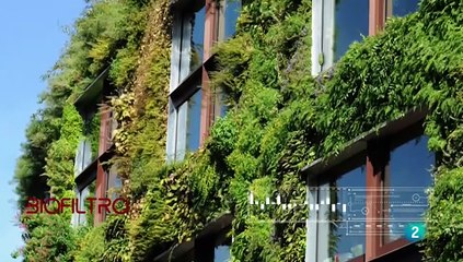 Ingeniero de órganos, jardinero vertical