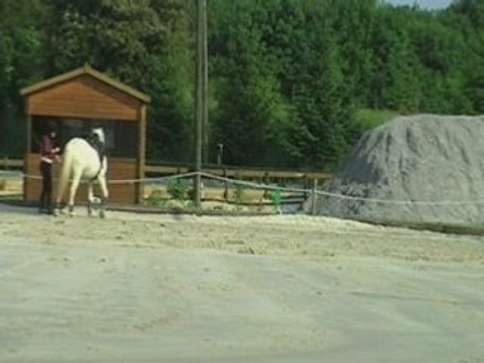 Travail à pieds