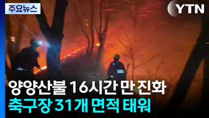 강원 양양 산불 16시간만에 진화...등산로 인근서 발화 / YTN