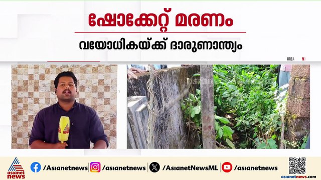 കണ്ണൂരിൽ പൊട്ടിവീണ വൈദ്യുത കമ്പിയിൽ നിന്ന് ഷോക്കേറ്റ് വായോധികയ്ക്ക് ദാരുണാന്ത്യം