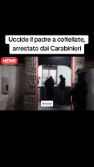 Uccide il padre a coltellate, arrestato dai Carabinieri#brindisi #puglia #ansa #tg #cronaca #giallo #tiktoknews #daytime #news