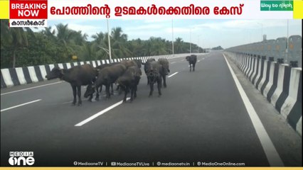 'വണ്ടിക്ക് മാത്രം പോയാൽ മതിയോ പോത്തിനും പോകണ്ടേ...'