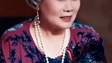 Sleepless Protector Chinese Drama