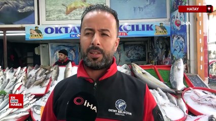 Hatay açıklarında yakalanan dev kılıç balığı 115 kilogram geldi