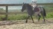 Moi + Diva ex° trot->galop (2)