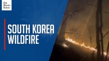 Firefighters battle blaze in South Korea's Gangwon province