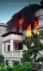 Rosie You're Mine! - FULL MOVIES ENGLISH SUB