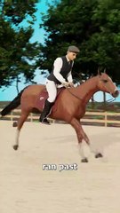 He Proved Horses Could Fly 😮_2K