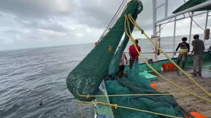 Secrets of Deep Gulf Waters – Catching Rare Fish in Crystal Blue Waves