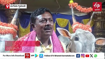 ಮಗನ ಮದುವೆಯಲ್ಲಿ ಎತ್ತಿನ ಜೋಡಿ ಕಟ್ಟಿದ ರೈತ: ಹಳ್ಳಿಕಾರ್ ಜೋಡಿ ಕಂಡು ಫಿದಾ ಆದ ಅತಿಥಿಗಳು