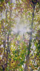 Together Hearts in Sync Dramabox