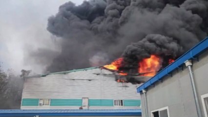 경기 안성 골판지 제조 공장에 큰불...외국인 노동자 1명 숨져 / YTN