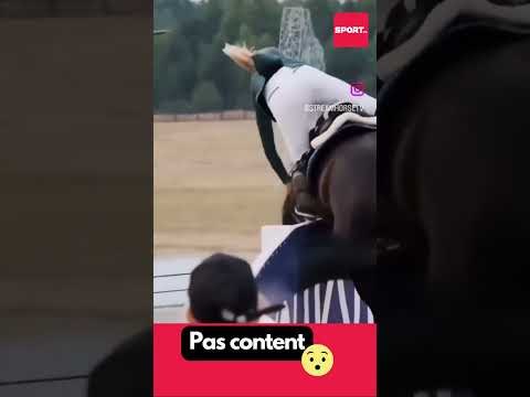 Pas content le cheval #mdr #sports #lol #football #foryou #funnyvideo VIRAL TIKTOK
