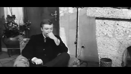 1966 The Alley Cats Grindhouse HOT MILF MOVIE