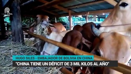 Programa Rural Noticias, Martes 25 de noviembre del 2025