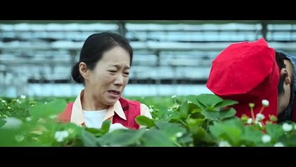 Genie make a wish Ep 13 Hindi dubbed #GenieMakeAWish #GenieMakeAWishKdrama #Kdrama #KoreanDrama #FantasyKdrama #RomanticFantasy #GenieStory #KdramaFans #KdramaCommunity #KdramaWorld #KdramaAddict #DramaClips #KdramaReels #KdramaEdit #AsianDrama #Korean