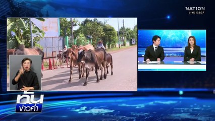 ชาวบ้านชายแดนหมดห่วงเกี่ยวข้าวเสร็จ พร้อมอพยพ | ทันข่าวค่ำ |  23 พ.ย. 68  | PART 4