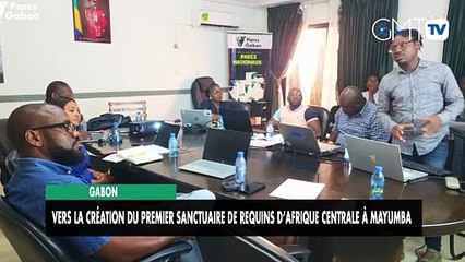 [#Reportage] Gabon : vers la création du premier sanctuaire de requins d’Afrique centrale à Mayumba