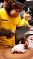 Chikki Monkey & Momo Cat Running a Chicken Meat Shop – Funny Animal Comedy Video