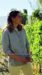 Uncle’s Palm-Sized Pet Full movies English Sub