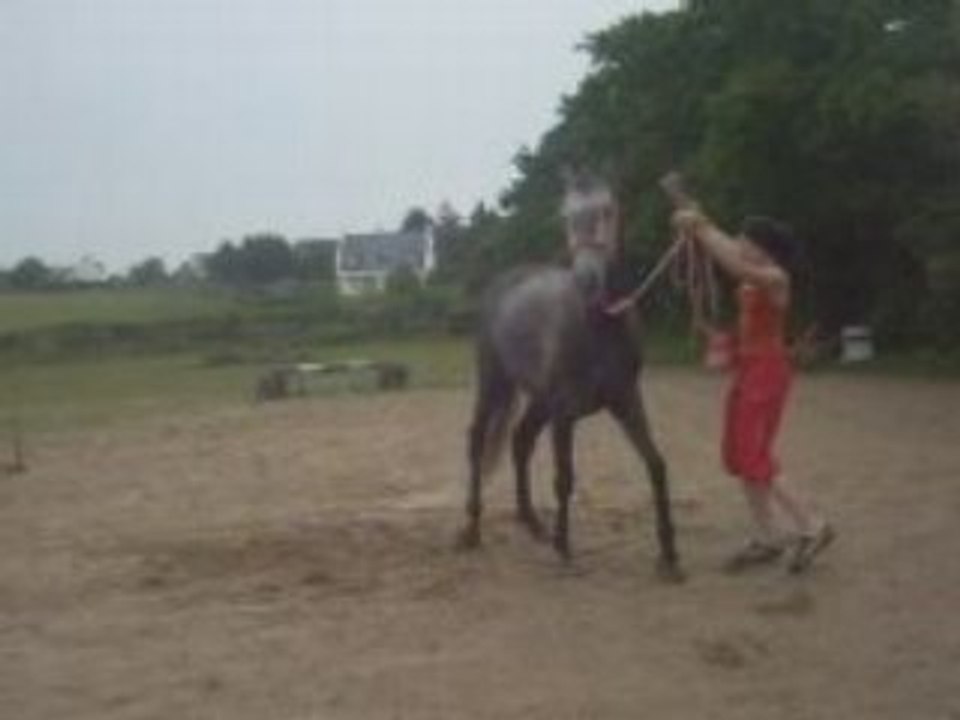 travail avec onyx a pied au pas