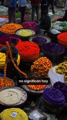 REFRANES que cambiaron con el mundo_Parte 6