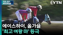 [주간 경마] 에이스하이, 올가을 최고 여왕에 등극 / YTN