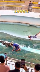 🔥 “I Can’t Believe This Happened 😳💥#YouTubeReaction #dailymotion