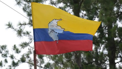 Disidencias tenían listo gigantesco arsenal de explosivos para atentar en Valle del Cauca