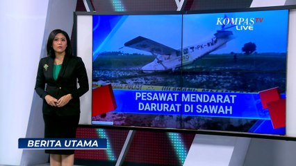 KNKT Investigasi Sebab Pesawat Mendarat Darurat di Sawah, Wise Air: Sudah Uji Kelaikan
