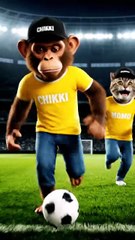 Monkey Chikki & Cat Momo Playing Football – Funny Animal Soccer Video