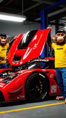 Monkey Chikki & Cat Momo as Car Mechanics – Funny Animal Workshop Video