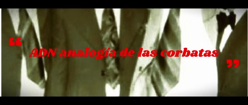 ADN analogía de las corbatas