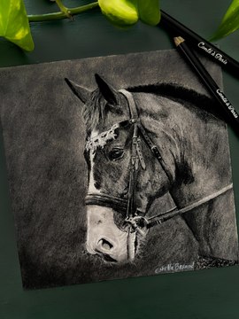 Dessin réaliste d'un cheval réalisé à la pierre noire #dessin #art #cheval