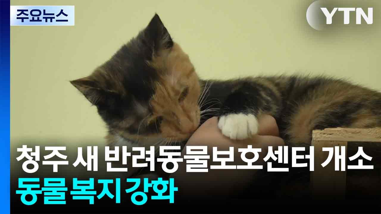 충북 청주 새 반려동물보호센터 개소...동물 복지 강화 / YTN