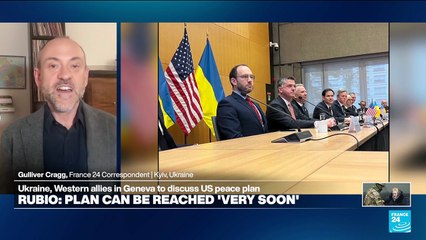 'The Ukrainians haven't said anything concrete about what has been changed in the plan'