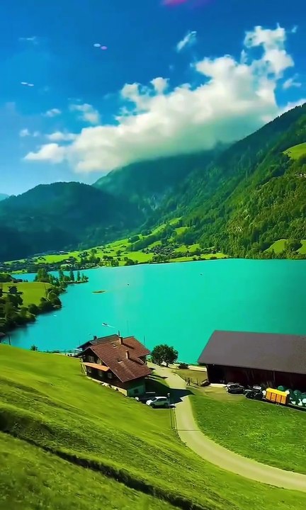 06D09391-1A9C-4242-B4A3-1F07D61C14B5