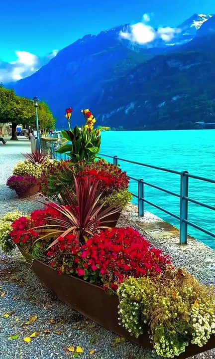 F8F9082D-F217-4DF1-8AFA-4F1C4B5B9443