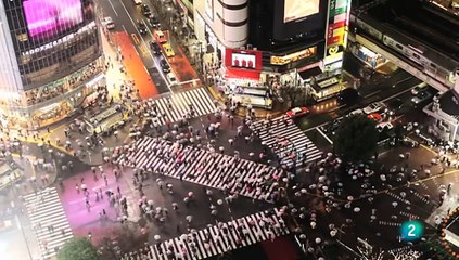 Colonizador del espacio, clonador de especies extintas