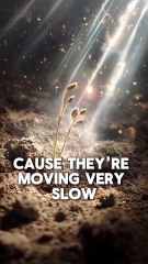 Nothing Happens by Chance_ The Secret Path to Unshakable Faith