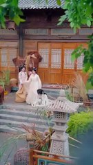 scorned beauty desperate men chinese drama