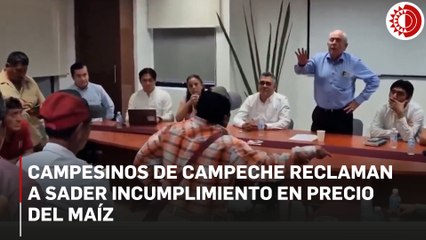 Maiceros de Campeche acusan que Sader incumplió precios y garantías del mercado de cosechas