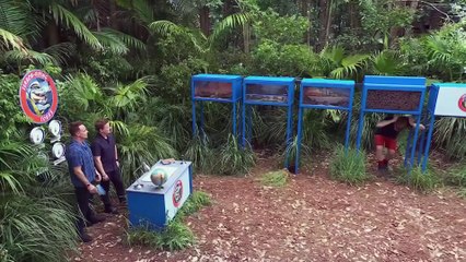I'm a Celebrity, Get Me Out of Here! - Season 25 Episode 8 - Terror-Flying Tours