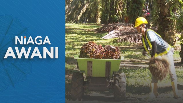 Niaga hadapan MSM diunjur diniagakan rendah minggu ini